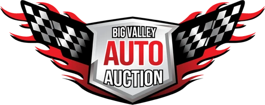Big Valley Auto Auction